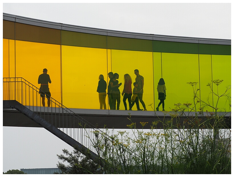 Your Rainbow Panorama