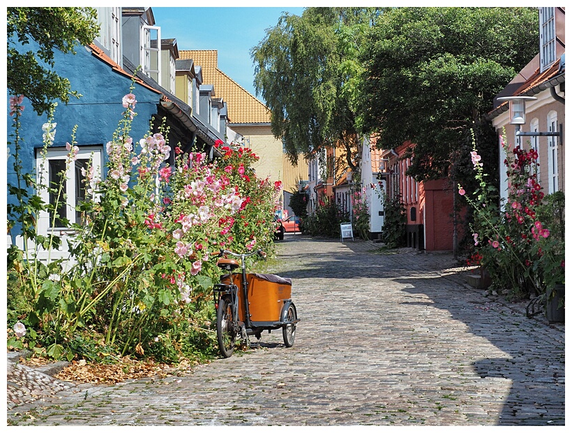 Mllestien Lane
