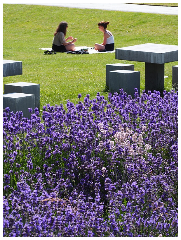 Mlleparken
