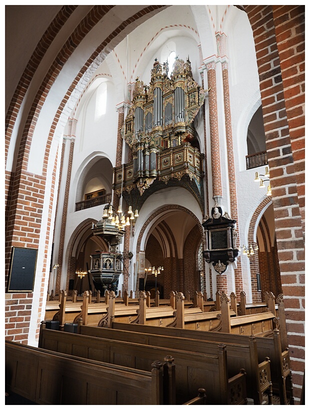The Organ