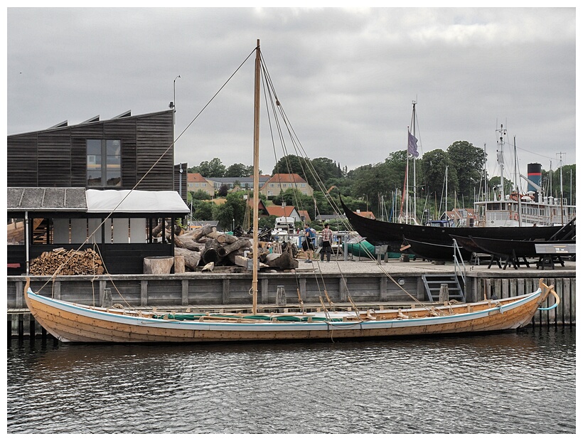 Viking Ship Museum