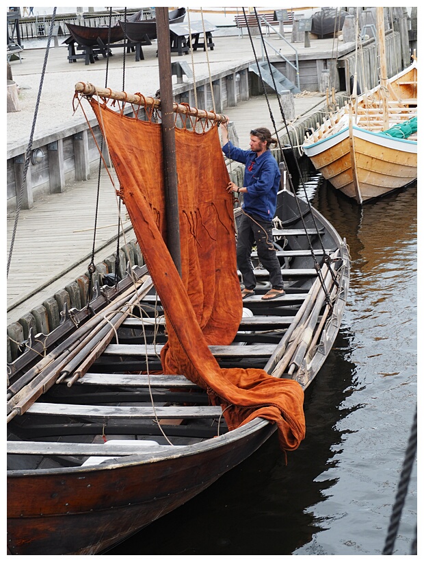 Viking Ship Museum