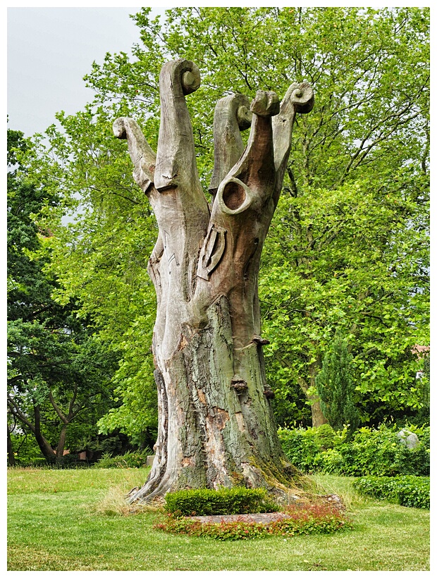 Weyse's Beech