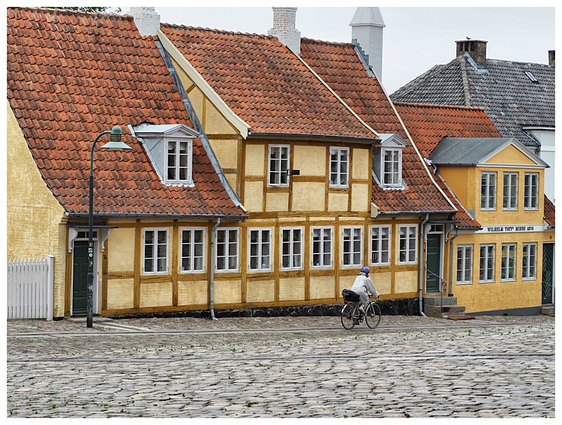 Roskilde Attraction