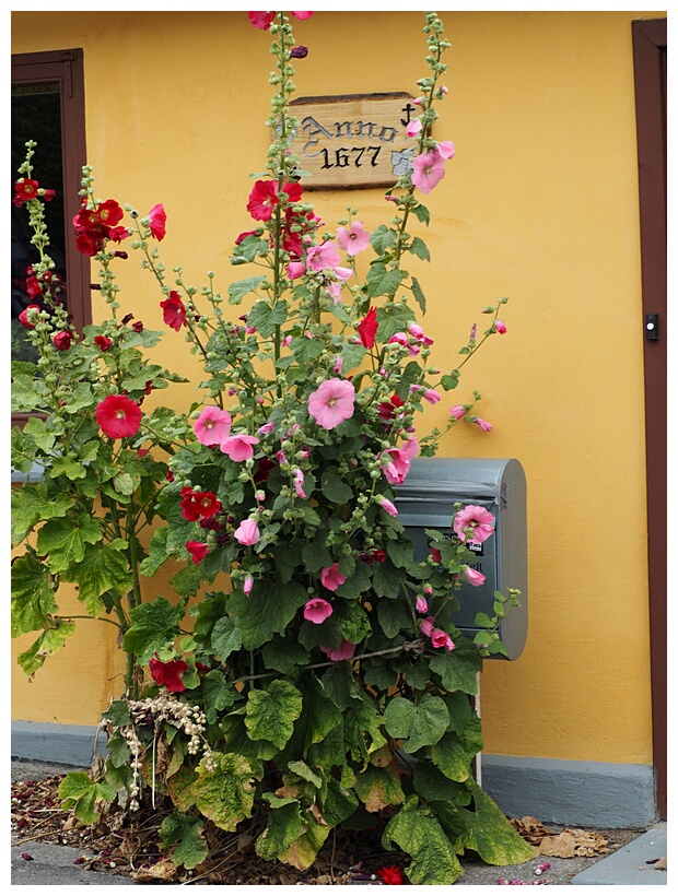St. Jrgensbjerg Quarter