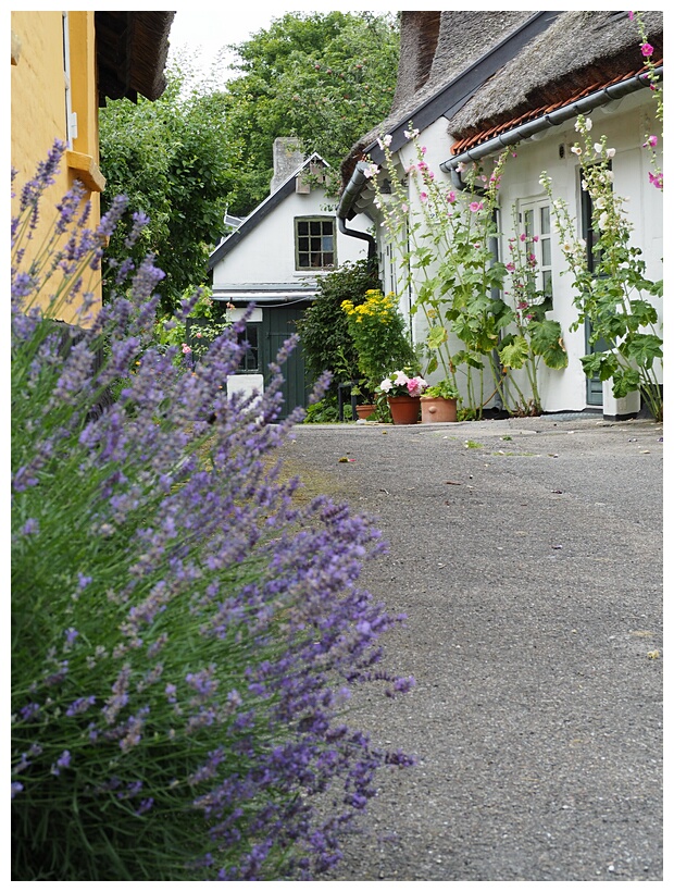 St. Jrgensbjerg Quarter
