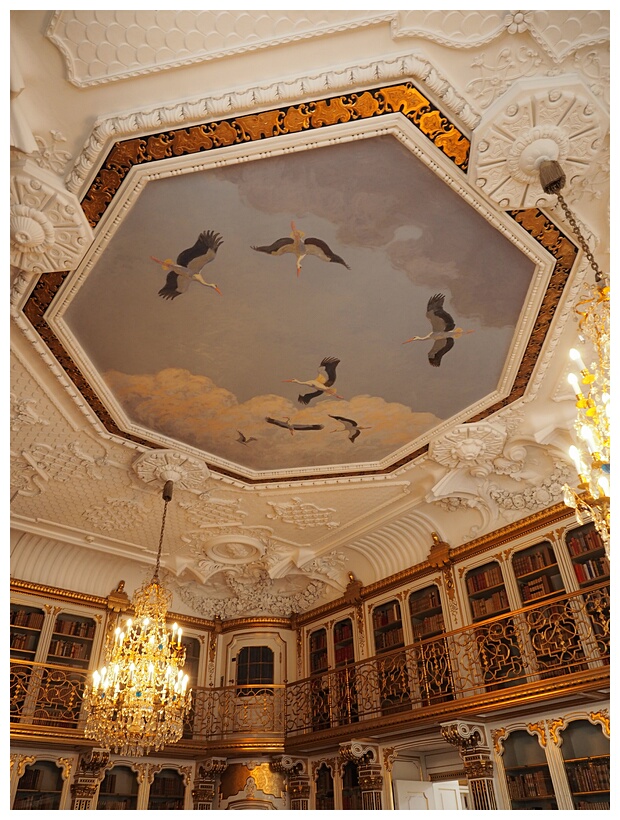Queen's Library