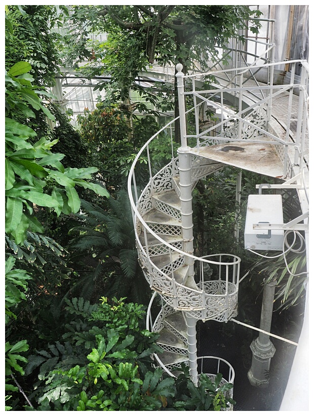 Botanisk Have