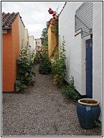 Back Street