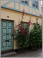 Odense