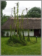 Funen Village