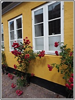 Ribe House