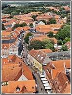 Panoramic View