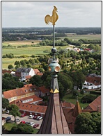 Panoramic View