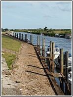 Ribe River