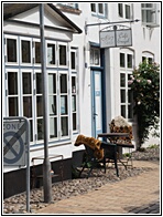 Cafe Engel