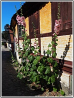 Den Gamle By