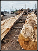 Viking Ship Museum
