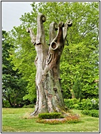 Weyse's Beech