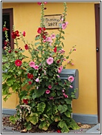 St. Jrgensbjerg Quarter