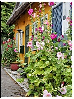 St. Jrgensbjerg Quarter