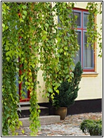 St. Jrgensbjerg Quarter 