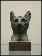 Head of Cat