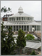 Botanisk Have