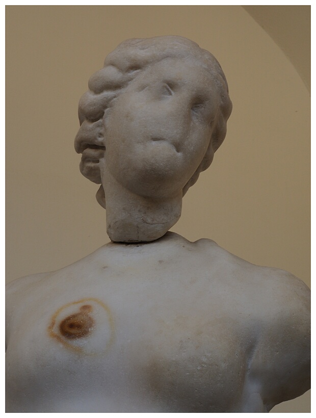 Marine Venus