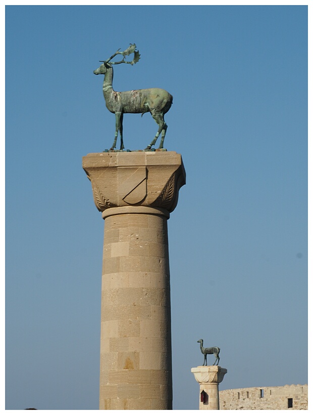 Deer and Deer