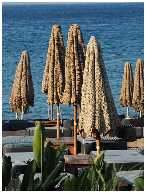 Beach Umbrellas