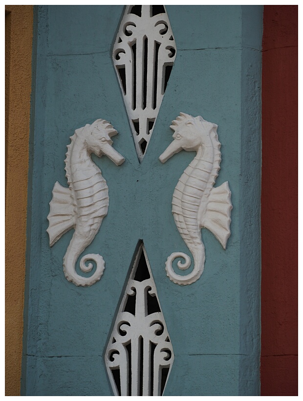 Seahorses