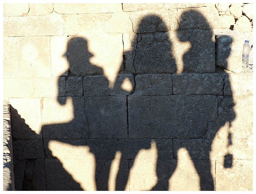 Shadows