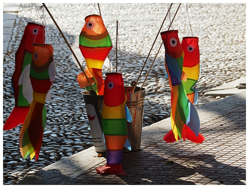 Kites