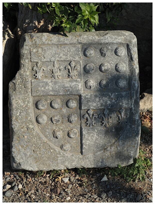 Coat of Arms