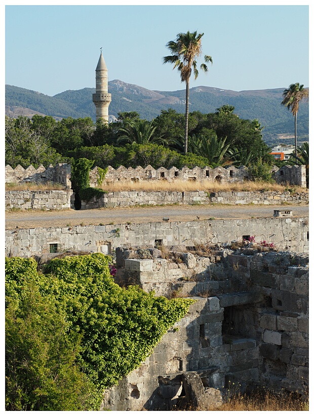 Castle of the Knights