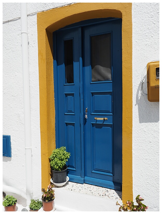 Bright Colors
