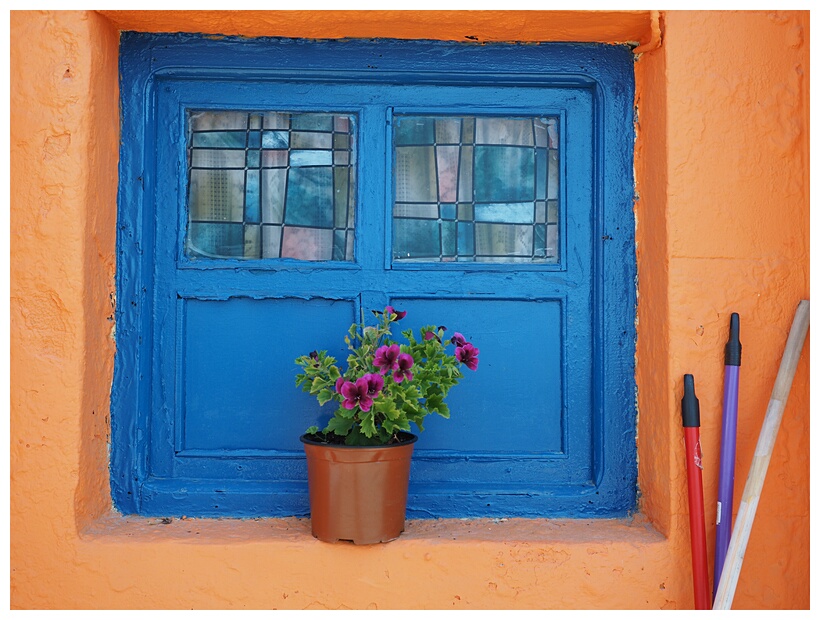 Window