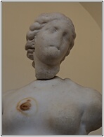 Marine Venus