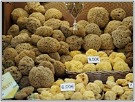 Sponge Stall