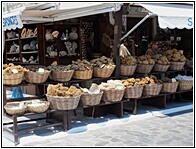 Sponge Trading