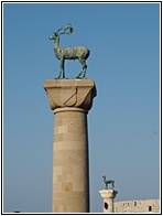 Deer and Deer