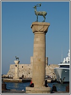 The Deer