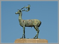 Bronze Stag