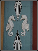 Seahorses