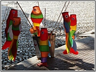 Kites