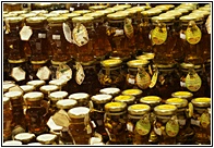Honey