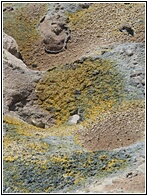 Inside the Volcano