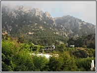 Zia