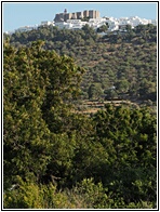 Monastery